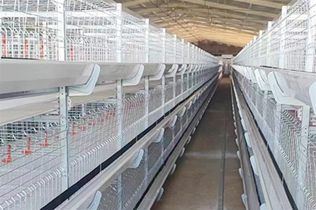 肉鸡笼养设备